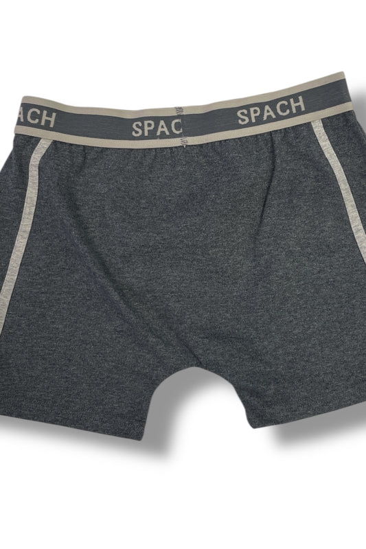 Color Block Striped Boxer Briefs For Men