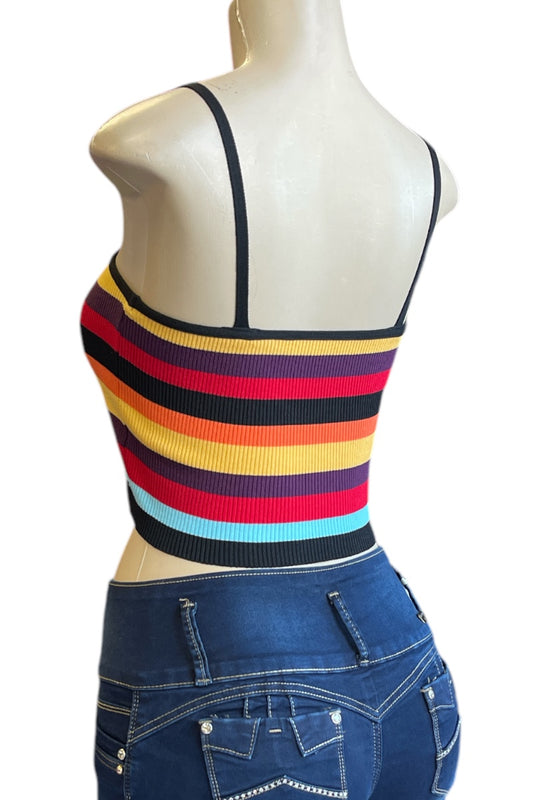 Multicolor Striped Ribbed Crop Top
