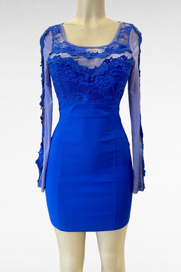 Long Sleeve Lace Mesh Dress