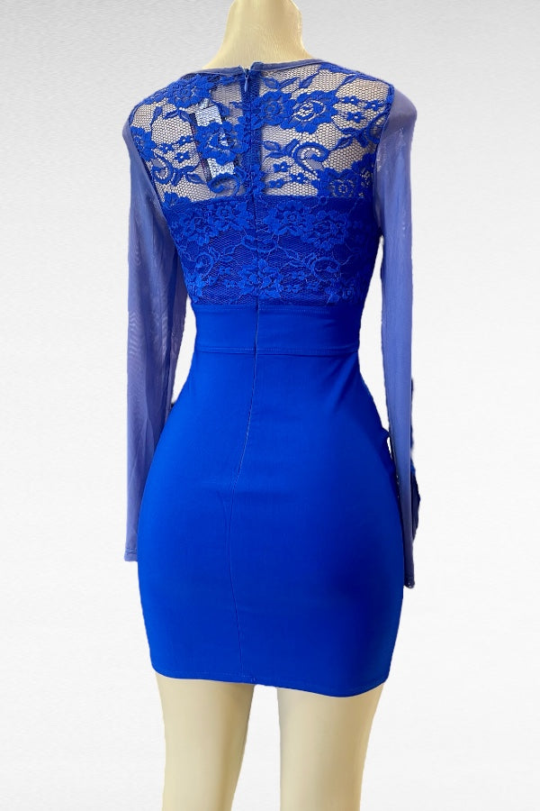 Long Sleeve Lace Mesh Dress