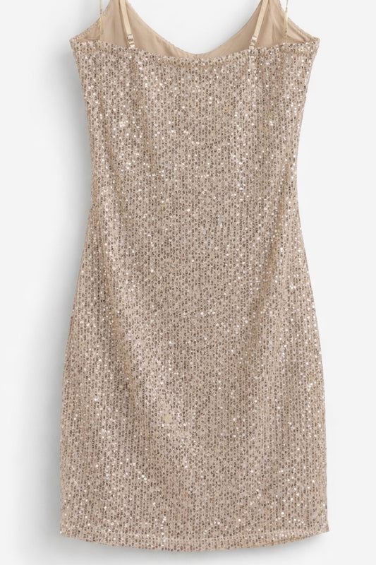 sequin dress on a white background