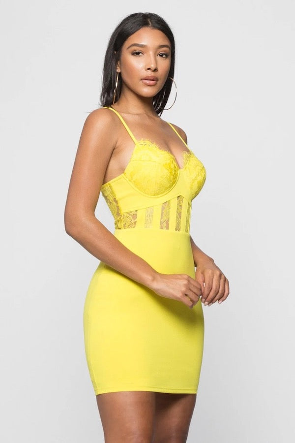 Sparkly Scalloped Lace Bustier Dress