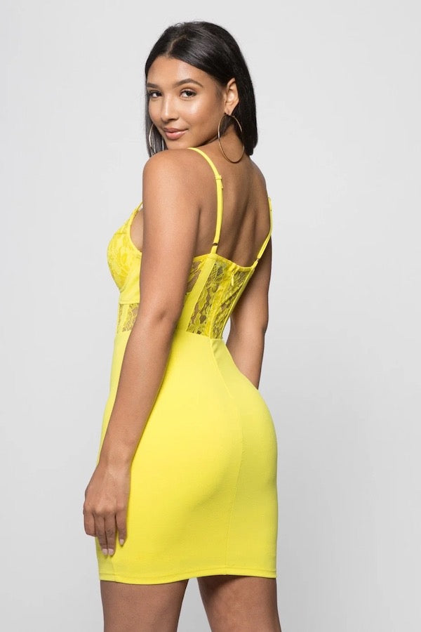 Sparkly Scalloped Lace Bustier Dress