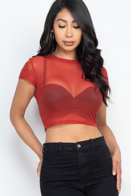Mesh Sheer Blouse Crop Top - Rust