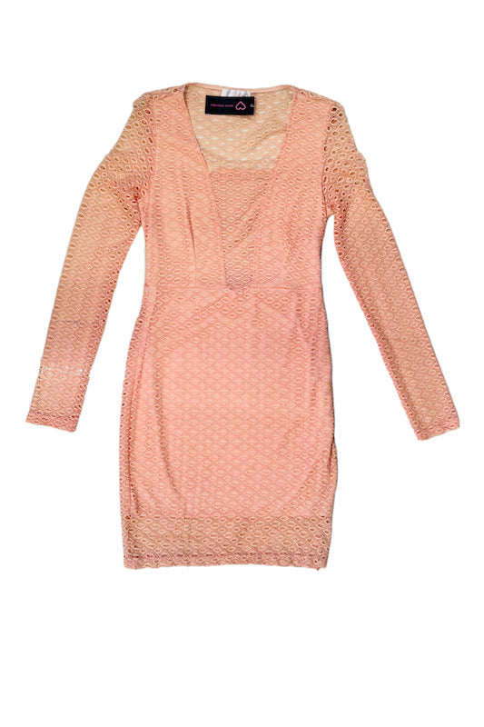 Net Illusion Plunge Long Sleeve Dress