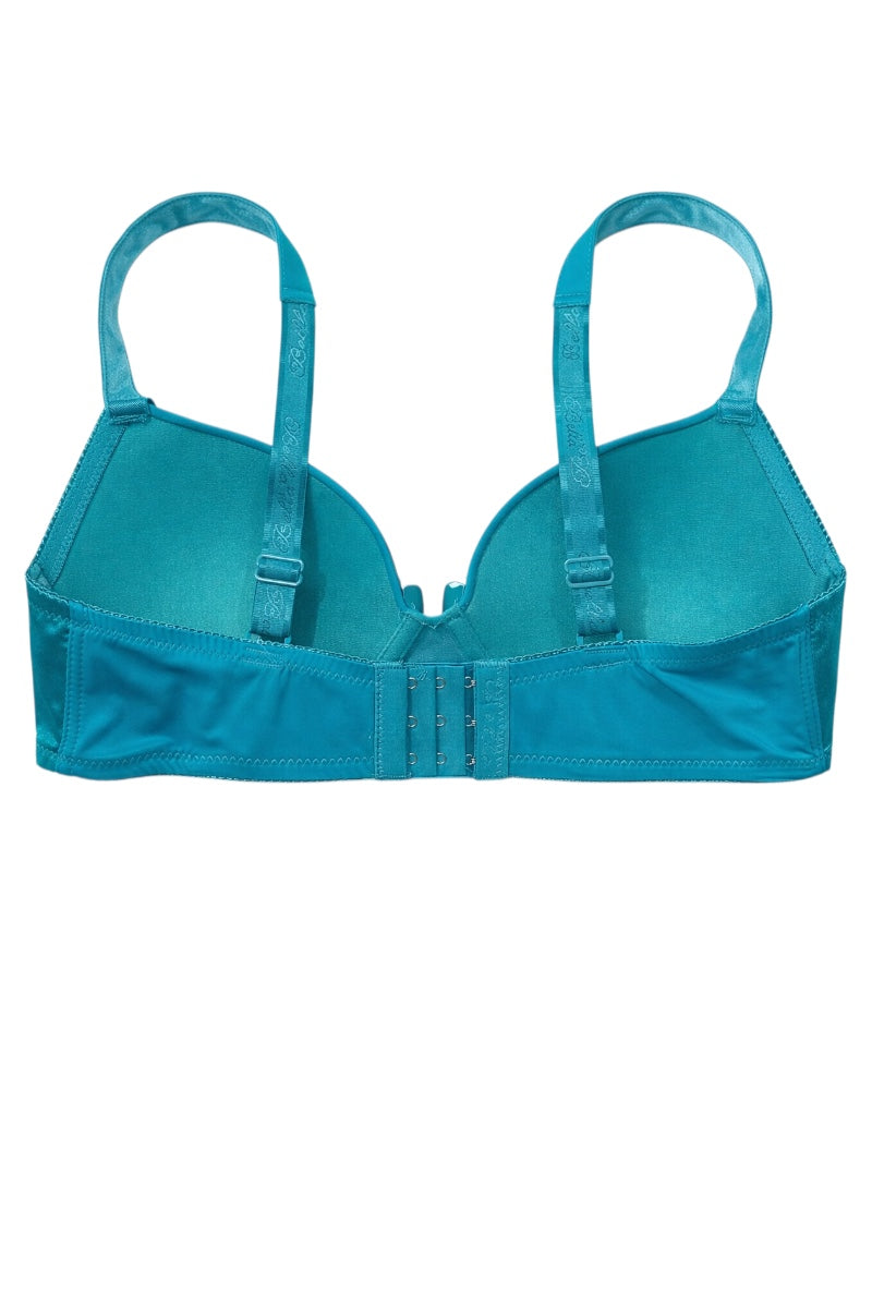 blue bra on a white background