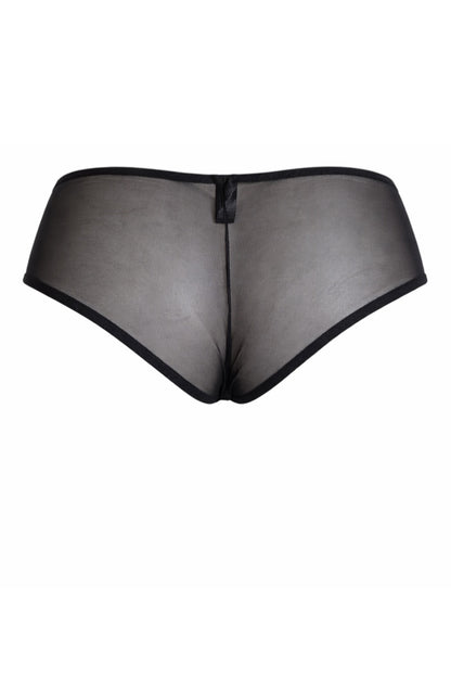 Black mesh underwear on a white background