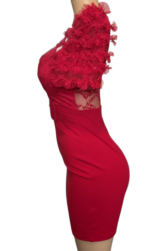 Red dress with floral details on a white background