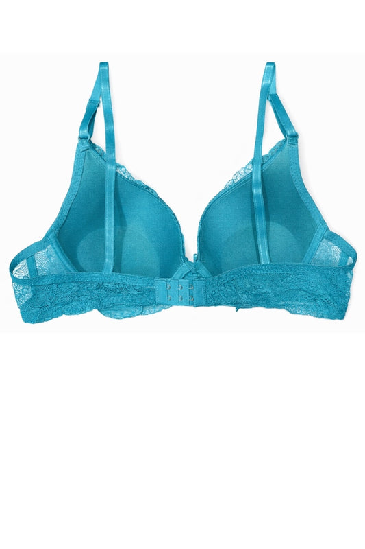 blue bra on a white background