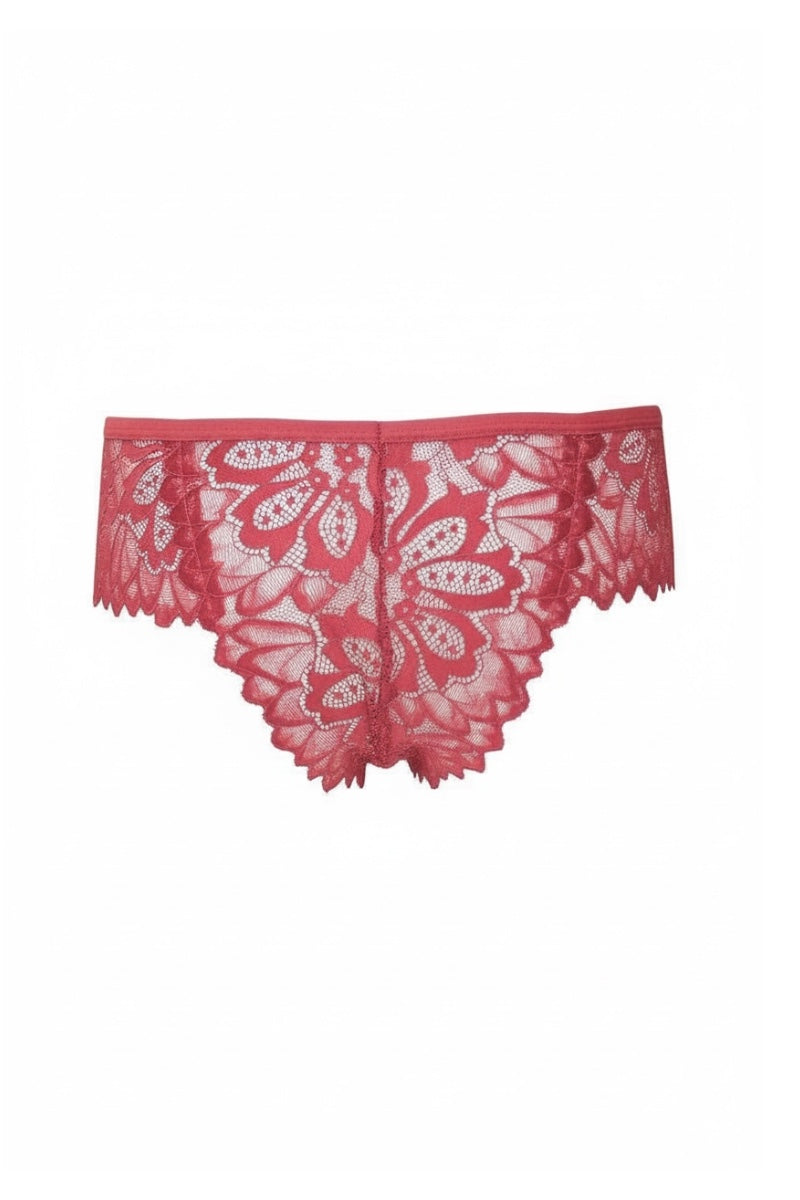 Red lace underwear on a white background