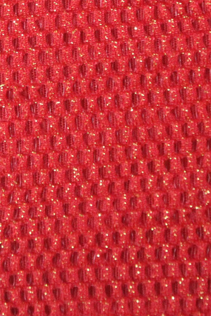 Shimmery Fishnet Panty