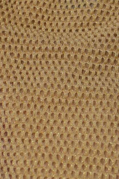 Shimmery Fishnet Panty