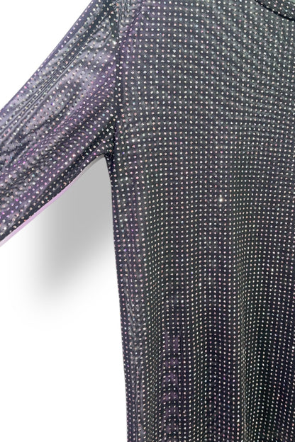 Dotted Glitter Long Sleeve Mesh Top