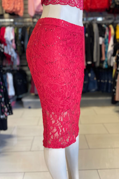 Sequin Lace Midi Skirt