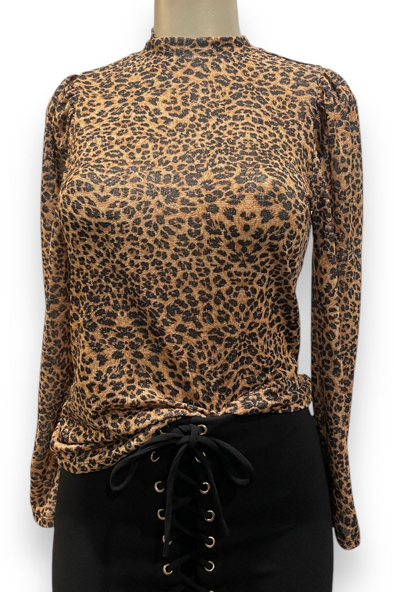 Shiny Leopard Print Mesh Long Sleeve Top