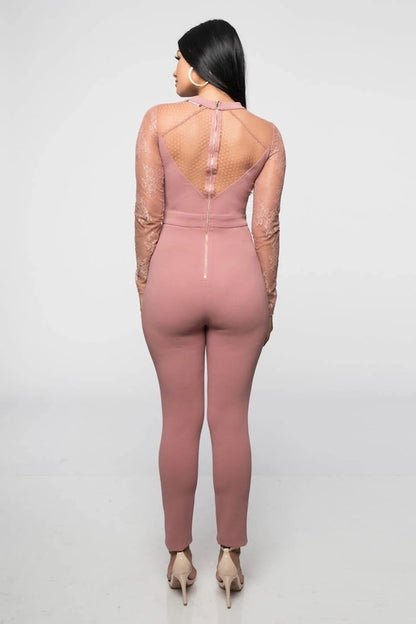 Lace & Mesh Insert Plunge Jumpsuit
