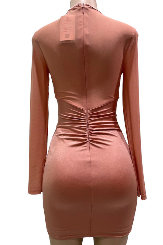 Back of Plunge Ruched Lace & Mesh Insert Bodycon Dress in Champagne Clay Color