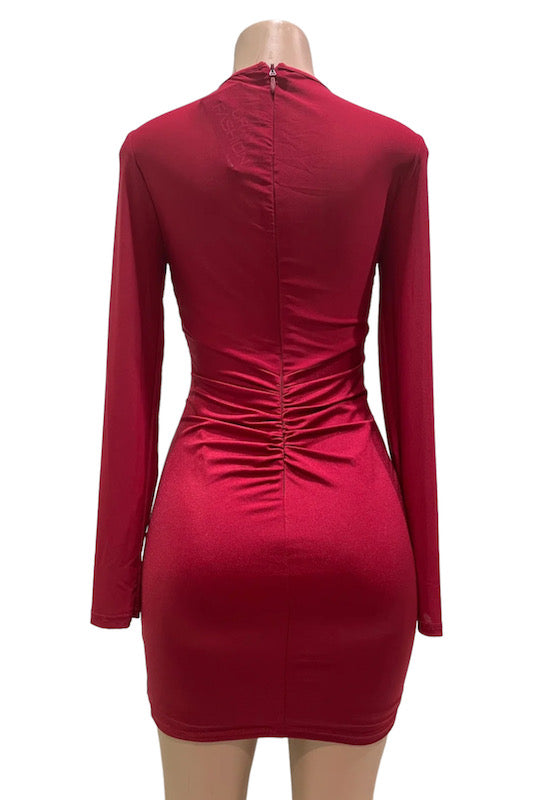 Back of Plunge Ruched Lace & Mesh Insert Bodycon Dress in Burgundy Color