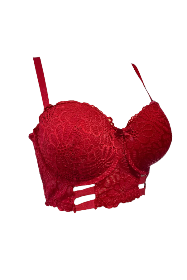 Floral Lace Caged Long Line Bra - Burgundy