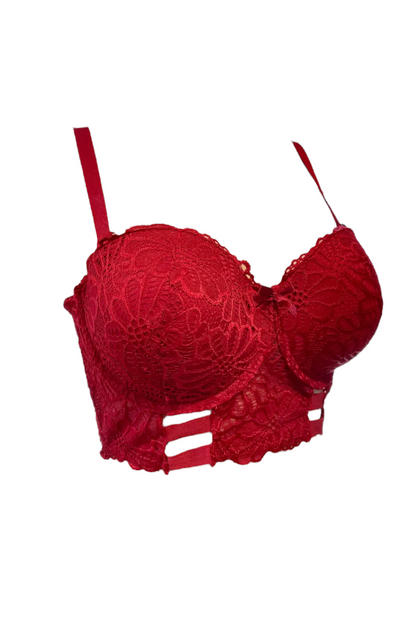 Floral Lace Caged Long Line Bra - Burgundy