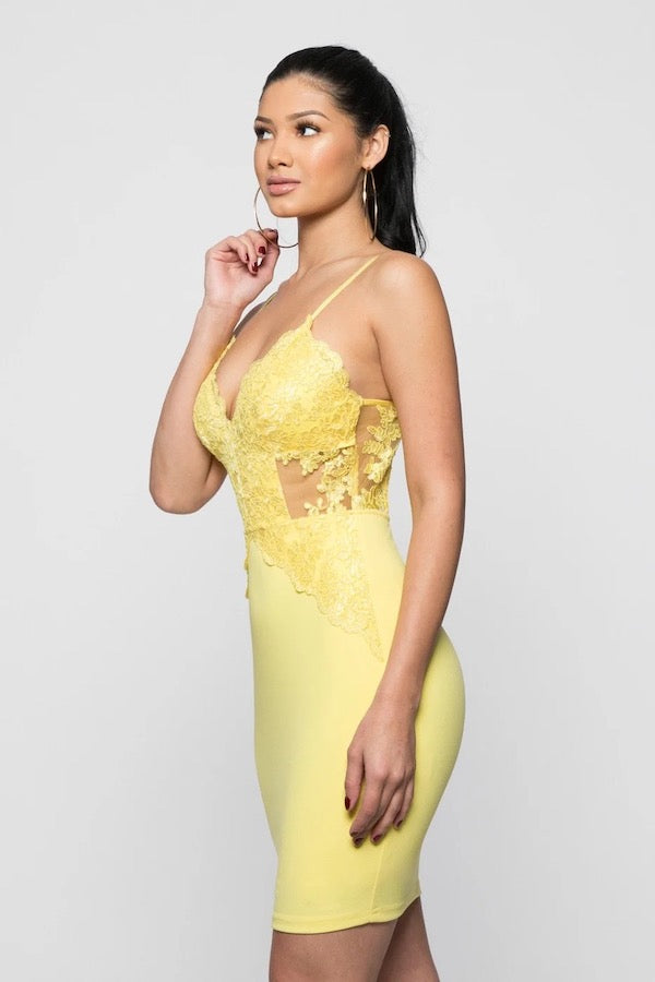 Embroidered Lace Silhouette Dress - Yellow