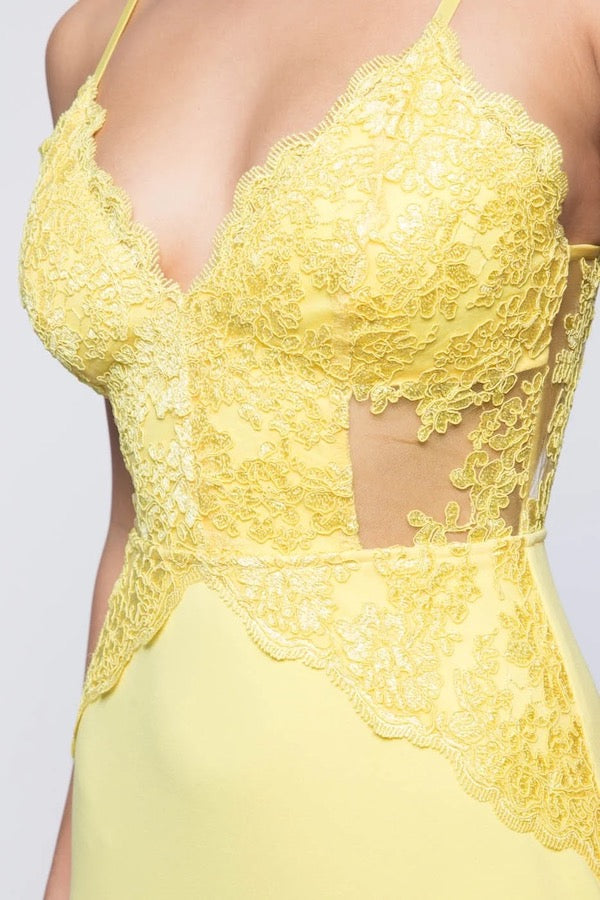 Embroidered Lace Silhouette Dress - Yellow - Close Up