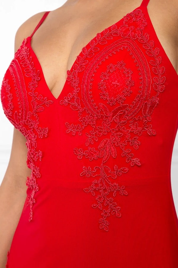 Venetian Lace Applique Mesh Bodycon Dress - Red - Close Up