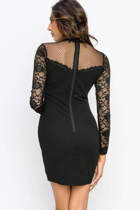 back of Sheer Lace Combo Bodycon Dress in black