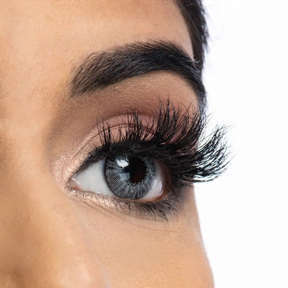 Sophia Lashes on model