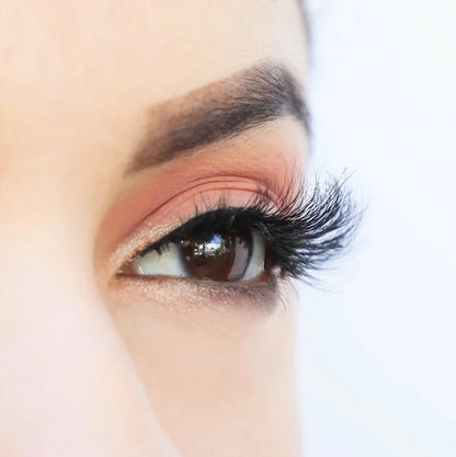 Sadie Lashes on model